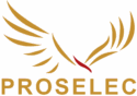 Proselec_Seguridad